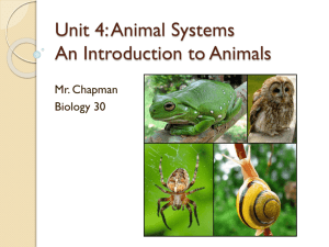 Animal Introduction Notes