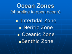 Ocean Zones