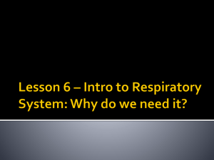 Lesson 6 Intro Respiratory System
