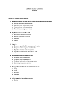 MIDTERM REVIEW QUESTIONS BLOCK D Chapter 32: Introduction