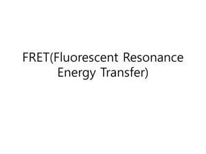FRET(Fluorescent Resonance Energy Transfer)