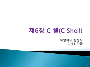 제6장 C 쉘(C Shell)