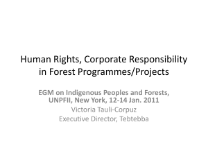 Human Rights, Corporate responsibility in forest programmes/projects
