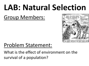 APES Natural Selection Lab Report Format