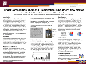 Fungal Composition of Air and Precipitation in Southern New Mexico
