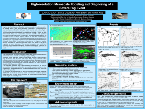 High-resolution Mesoscale Modeling and Diagnosing of a Severe