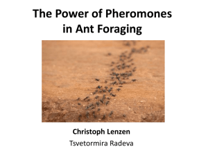 The Power of Pheromones in Ant Foraging