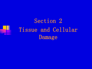Tissue and Cellular Injury