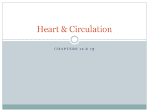 Chapters 12 & 13 PPT - Ms. Giovanetto