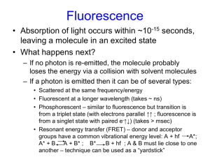 Light Scattering & Fluorescence
