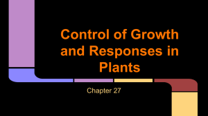 Plant Growth and Hormones