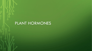 Plant hormones - WordPress.com