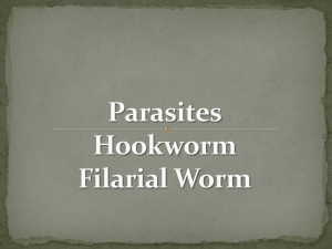 Parasites: Hookworm Elephantiasis Loa loa