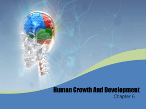 Chapter_6_Cognitive_Development
