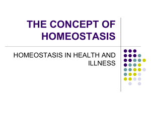 homeostasis - WordPress.com