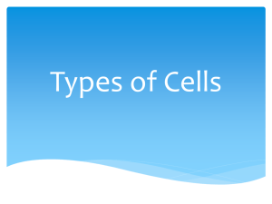 Types of Cells PP
