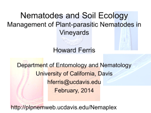 Nematode Management in Vineyards - University of California, Davis