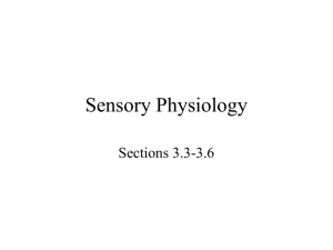P215 - Basic Human Physiology