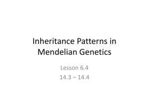 Inheritance Patterns in Mendelian Genetics