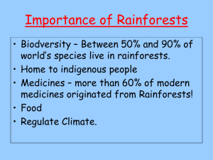 Importance of Rainforests