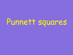 Punnett squares