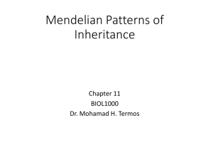 Chapter 11 Mendelian Patterns of Inheritance