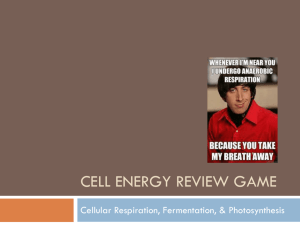 Cell Energy Review Game