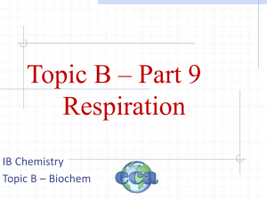 Respiration B9 - SCIS Teachers