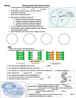 Kingdom Classification Worksheet