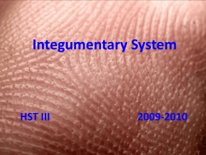 Integumentary System - Practicum-Health-Science-II-2010-2011