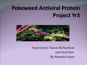 Pokeweed Antiviral Project - POKEWEED-ANTIVIRAL