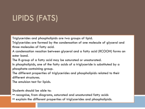 Lesson 6 + 7 Lipids