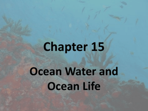 Chapter 15 Ocean Water and Ocean Life