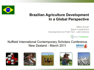 Brazilian Agriculture Development