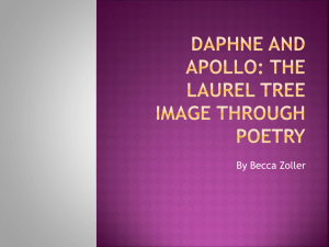 Daphne and apollo: the laurel tree image