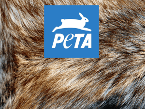 PETA - WordPress.com