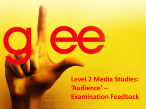 Glee Overview 2013