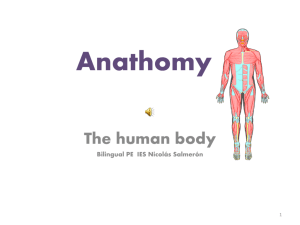 Anathomy AND HUMAN BODY
