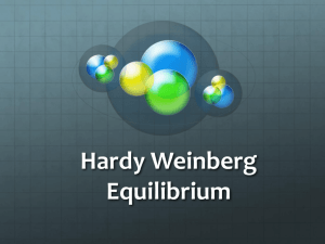 Hardy Weinberg Equilibrium - BaysideFastTrackBiology2015