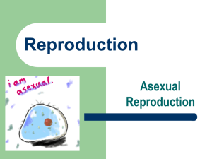Asexual Reproduction - Haiku Learning : Login