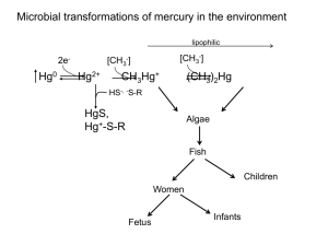Microbiology of Mercury