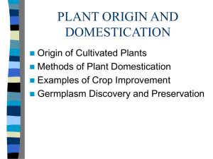 PLANT ORIGIN AND DOMESTICATION