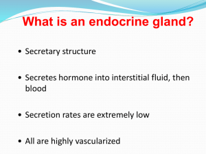 20-21 The Endocrine System
