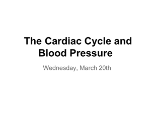 The Cardiac Cycle and Blood Pressure - Ms. Giovanetto