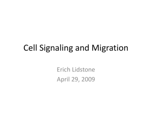 Cell Signaling and Migration