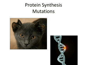 Protein Synthesis-Part Two
