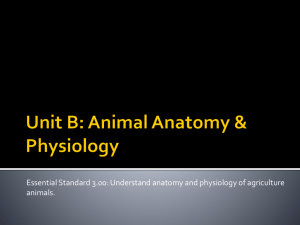 Unit B: Animal Anatomy & Physiology