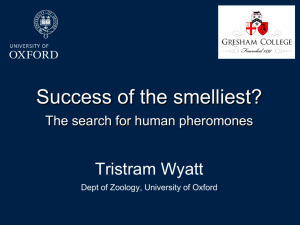 Success of the Smelliest: The Search for Human Pheromones