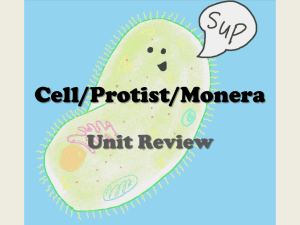 Cell/Protist/Monera