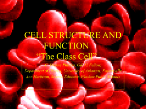 CELL STRUCTURE AND FUNCTION “The Class Cell”